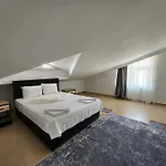 Circle * シダ